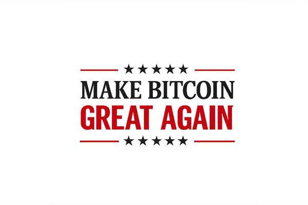 Bitcoin Hat USA